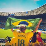 people, soccer, stadium, brazil flag, crowd, audience, sports, flag, game, match, football, cheering, brazil, brazilian, championship, soccer field, world cup, robinho